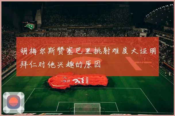 胡梅尔斯赞塞巴里挑射难度大证明拜仁对他兴趣的原因